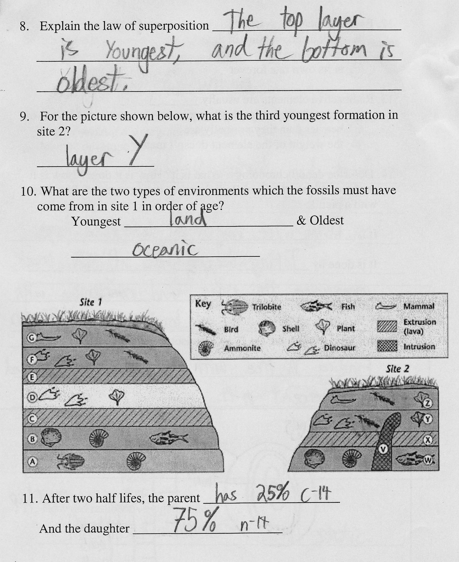 1 answers dating worksheet relative Fossils And